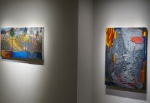 Passages and Persistence: The Art of Nikil Inaya